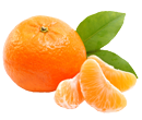 Mandalina