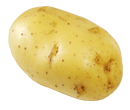 Patates