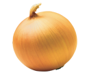 Sogan
